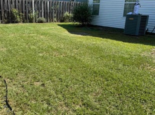 Robyn M.'s Lawn Service service result