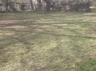 Leaf Removal by Garrett Howell for Shantina W. in Kansas City, MO