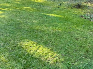 June K.'s Lawn Care service result