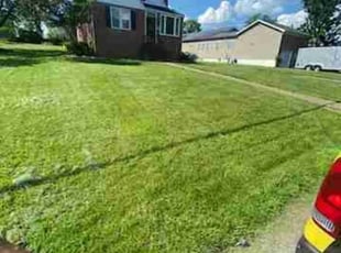Mark P.'s Yard Cutting service result