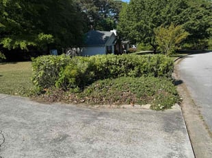 Bush Trimming by Michael Carter for Taylor L. in Grayson, GA