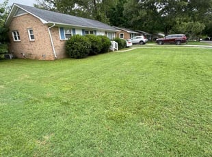 Emeana C.'s Yard Cutting service result