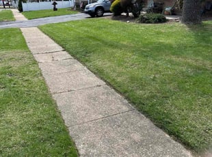 Candice W.'s Lawn Service service result
