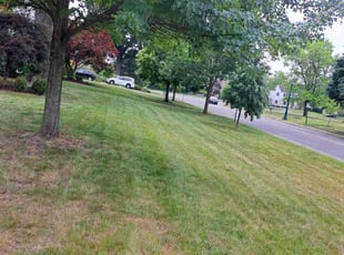 Leaf Removal by Michael Martin for Deepak G. in Columbus, OH