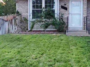 Bush Trimming by Shaylon Wignall for Michael W. in Colorado Springs, CO