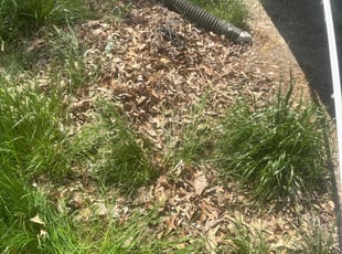 Leaf Removal by Joseph Smith for Darrell W. in Baltimore, MD