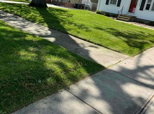 Michael H.'s Lawn Mowing service result