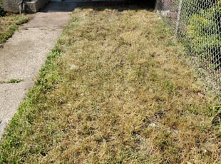 Landscaping by Craig kelly for Blaise B. in Chicago, IL