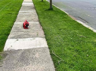 Bob P.'s Lawn Service service result