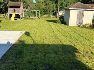 Tyrolienne S.'s Lawn Maintenance service result