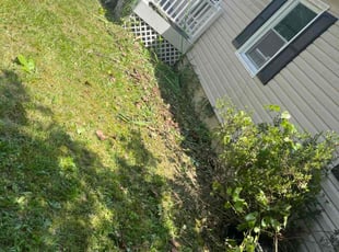 Joann B.'s Flower Bed Weeding service result