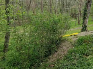 Bush Trimming by Jaden Benn for Lindsay H. in Crestwood, KY