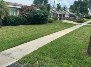 Terence C.'s Lawn Care service result