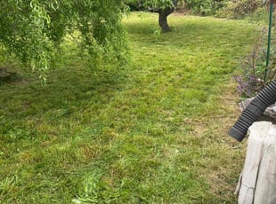 Denise J.'s Lawn Maintenance service result