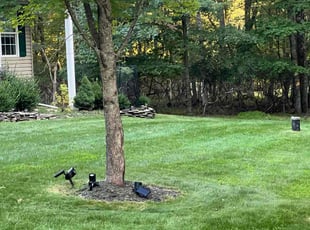 Christian G.'s Lawn Care service result