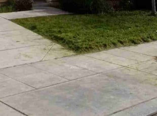Bush Trimming by Alex Rodriguez for Samantha T. in Fresno, CA