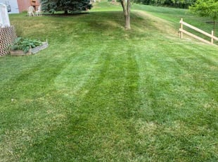 Harold D.'s Lawn Service service result