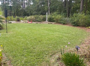 Kathi C.'s Lawn Mowing service result