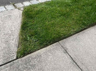 Charmaine C.'s Lawn Mowing Service service result