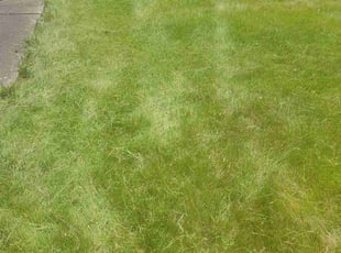 Cleanups by Grant Caver for Brian E. in Cincinnati, OH