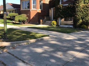 Bush Trimming by Larry Cornelious for Jenkins L. in Chicago, IL