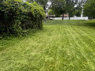 Brian F.'s Leaf Removal service result