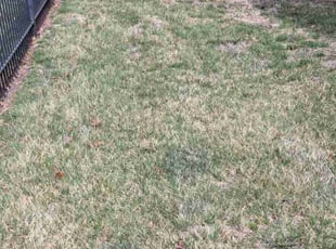 Leaf Removal by William Beacham for Donald F. in Wichita, KS