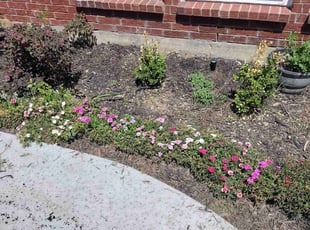 Weeding by Roland Brent for Anu S. in Wylie, TX