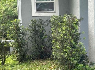 Bush Trimming by Gerral Cohen for Anders H. in Orange City, FL