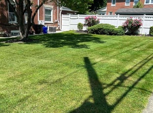 Elizabeth D.'s Lawn Service service result