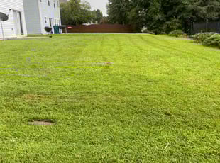 Matilda O.'s Lawn Mowing Service service result