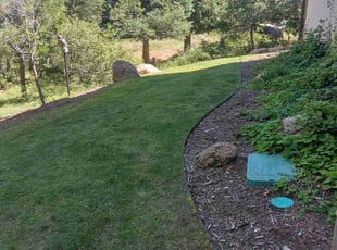 Viviana F.'s Lawn Care service result