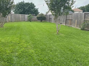 Jamie M.'s Yard Cutting service result