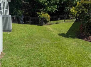 Angela W.'s Lawn Mowing service result