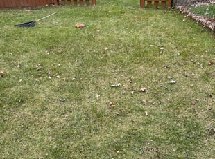Leaf Removal by Steven Green for Stephen R. in Dayton, OH