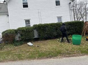 Bush Trimming by Jason Little for Jedediah M. in Portsmouth, RI