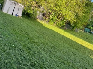 Karen B.'s Lawn Maintenance service result
