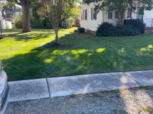 Cherita P.'s Lawn Service service result