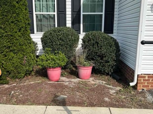 Bush Trimming by Joe Lee Jr for Anthony S. in Midlothian, VA