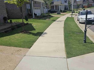 Kerri S.'s Lawn Mowing service result