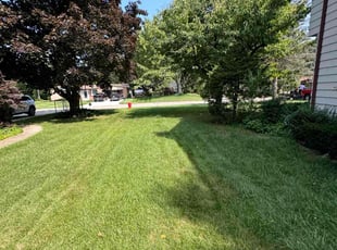 Richard M.'s Lawn Mowing Service service result