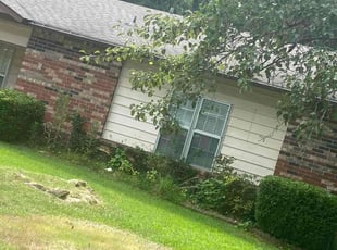 Bush Trimming by Devin Fordson for Matthew L. in Sherwood, AR