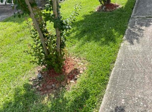 George G.'s Lawn Mowing Service service result