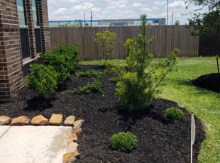 Weeding by Ana Zelaya for Paul D. in MISSOURI CITY, TX
