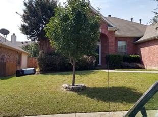 Bush Trimming by Vester Doyle for Clariece J. in Fort Worth, TX