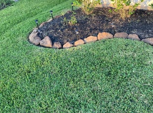 Bush Trimming by Stephanie Bohorquez for Theresa M. in Katy, TX