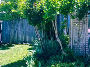Landscaping by Nathaniel Lamers for Jen R. in Fort Worth, TX