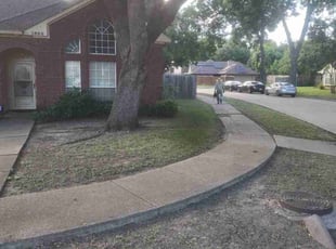 Mary S.'s Leaf Removal service result