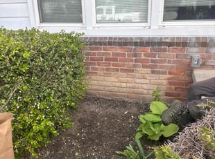 Weeding by Ariel Maledon for Shantell T. in Roseville, MI