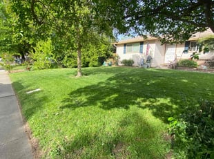 Liz G.'s Grass Cutting service result